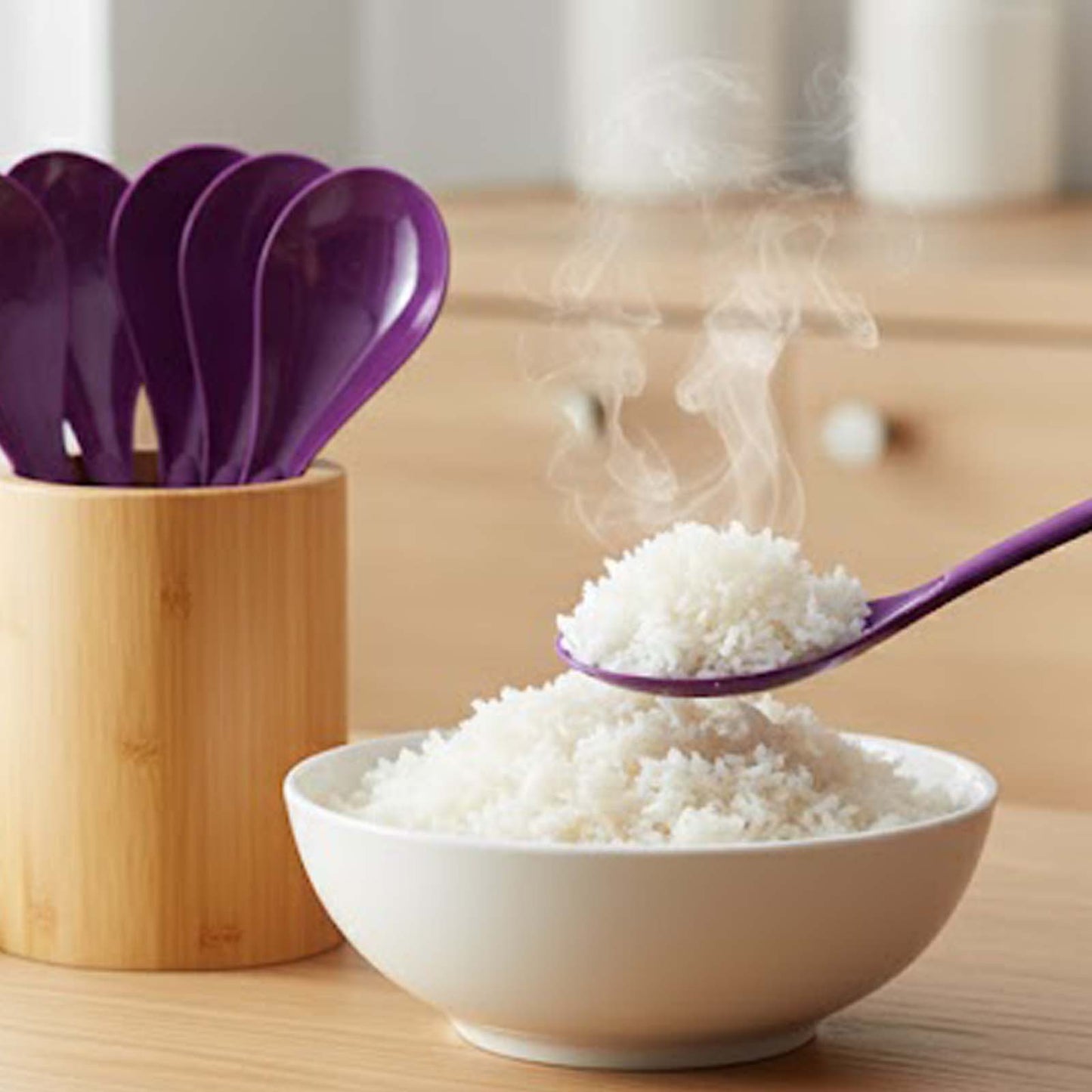 Otima 10pc Rice Spoon Set