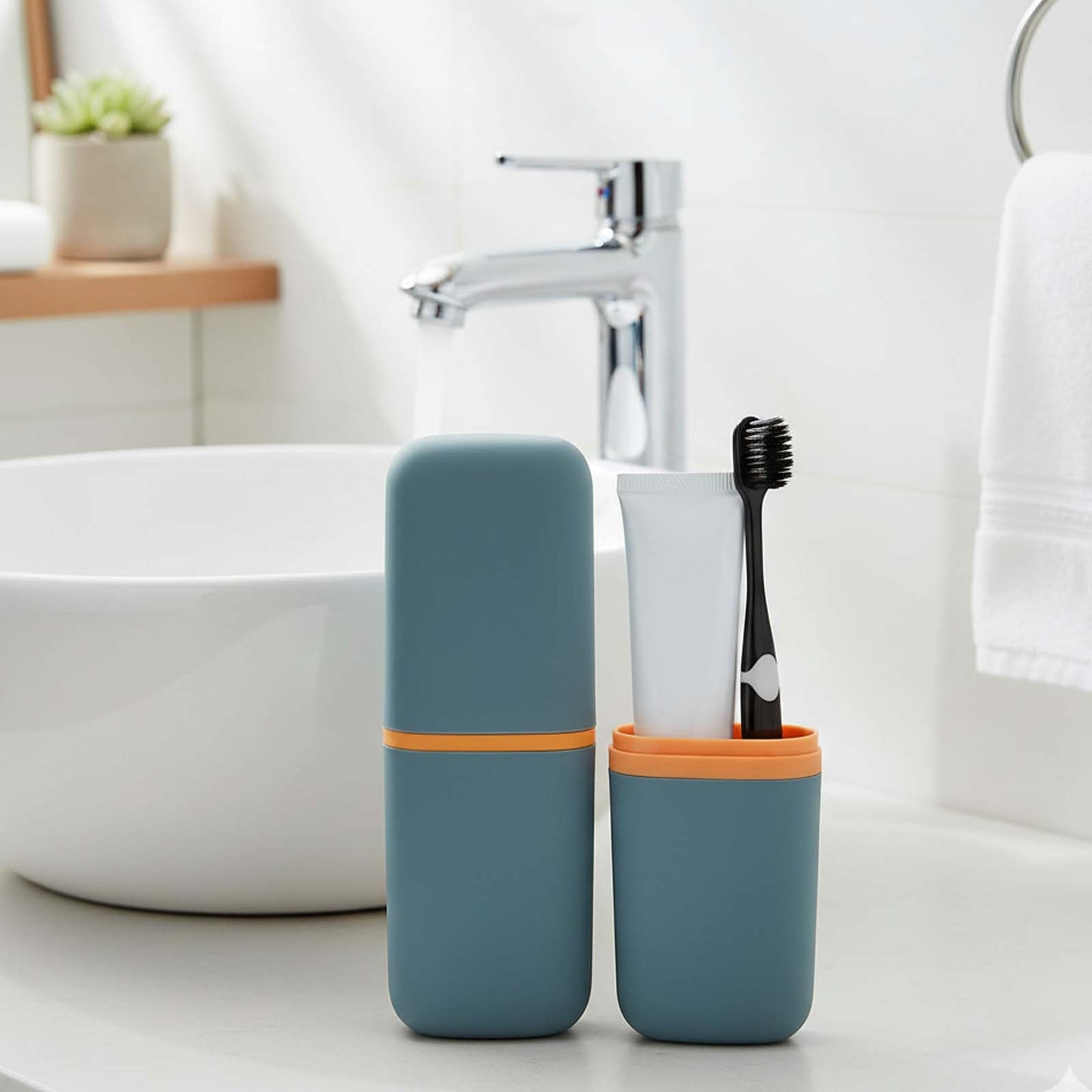 Travel Toothbrush Case