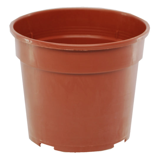 19cm Shrub Pot