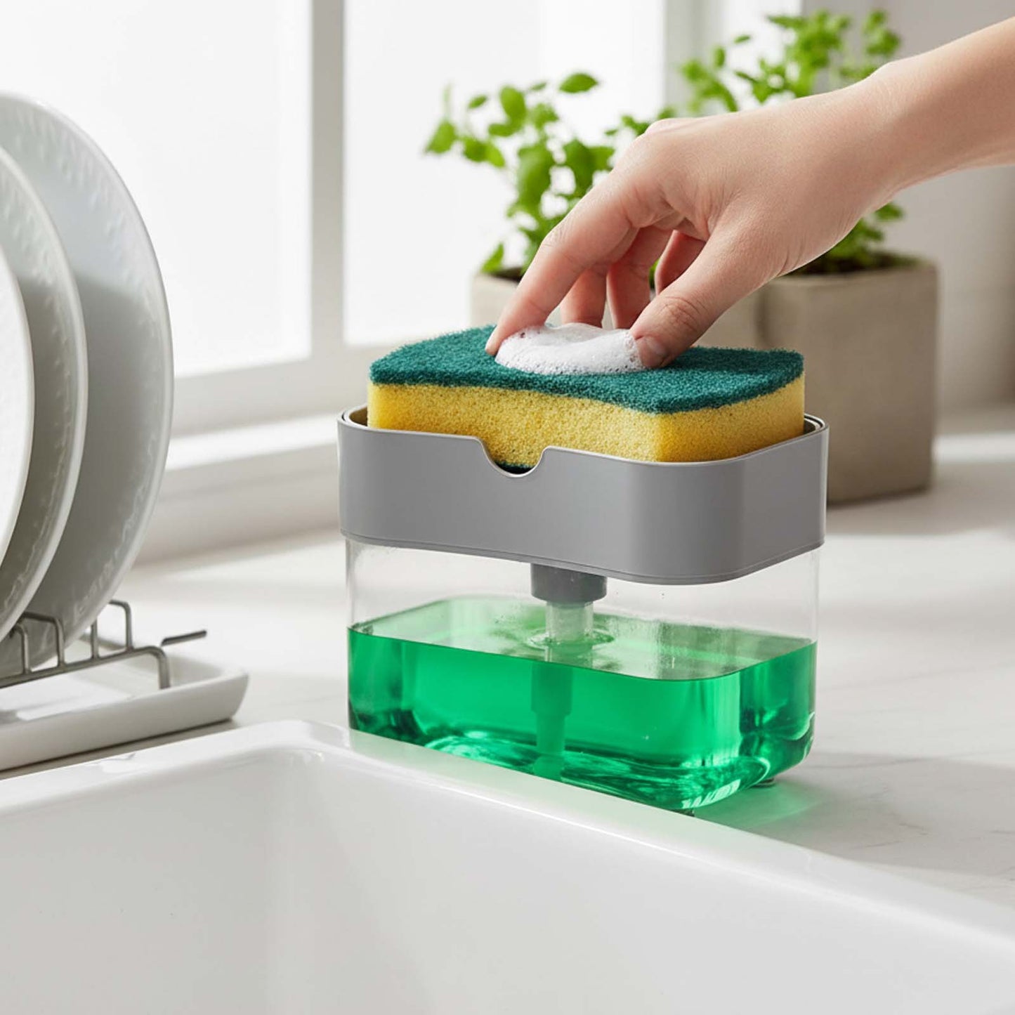 Soap Dispenser and Sponge Holder
